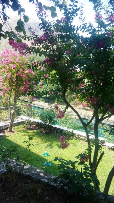 מוסטר Elite Guest House מראה חיצוני תמונה